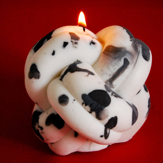 Vela nudo dalmata